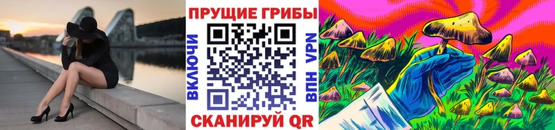 Галлюциногенные грибы GOLDEN TEACHER Черепаново