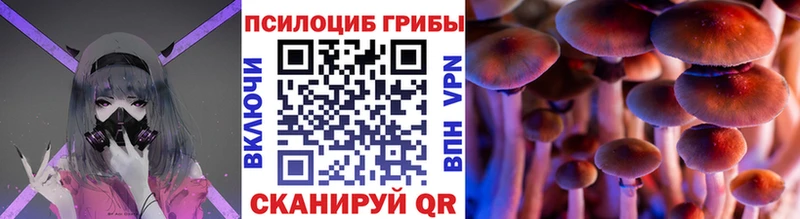 ОМГ ОМГ как войти  Черепаново  Псилоцибиновые грибы Psilocybe 
